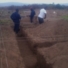 Un "Campo della Gioventù"